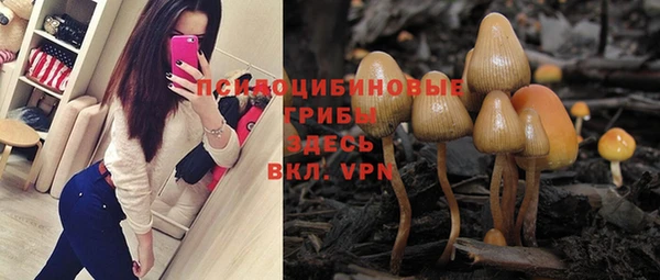 соль курить ск Абаза